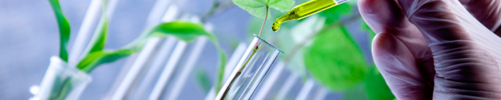 Inisoft desarrolla SEGUIMED para el control de abastecimiento de medicamentos.